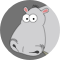 hippopotamus