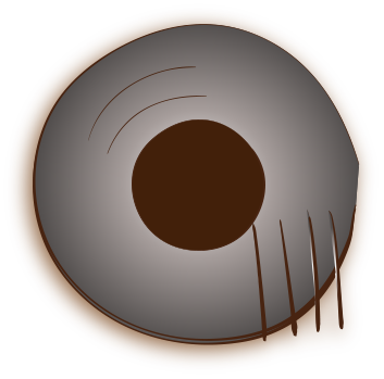 DVDpedia